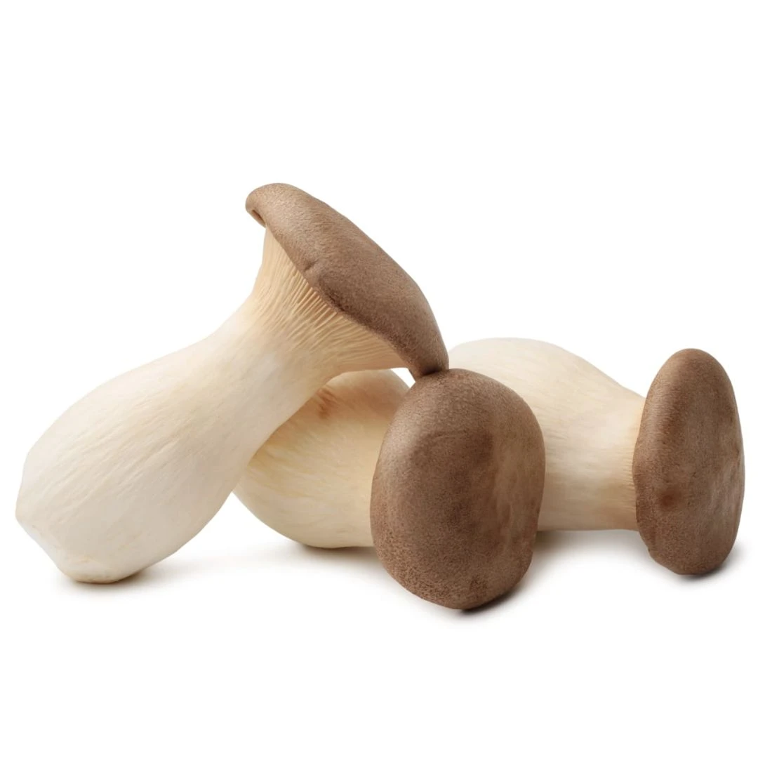 COGUMELO ERYNGUI NANASHI 200G