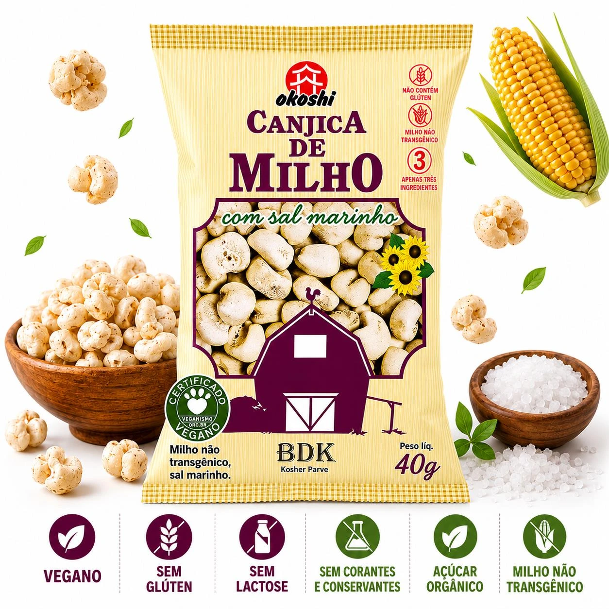 CANJICA DE MILHO OKOSHI SAL MARINHO 40G