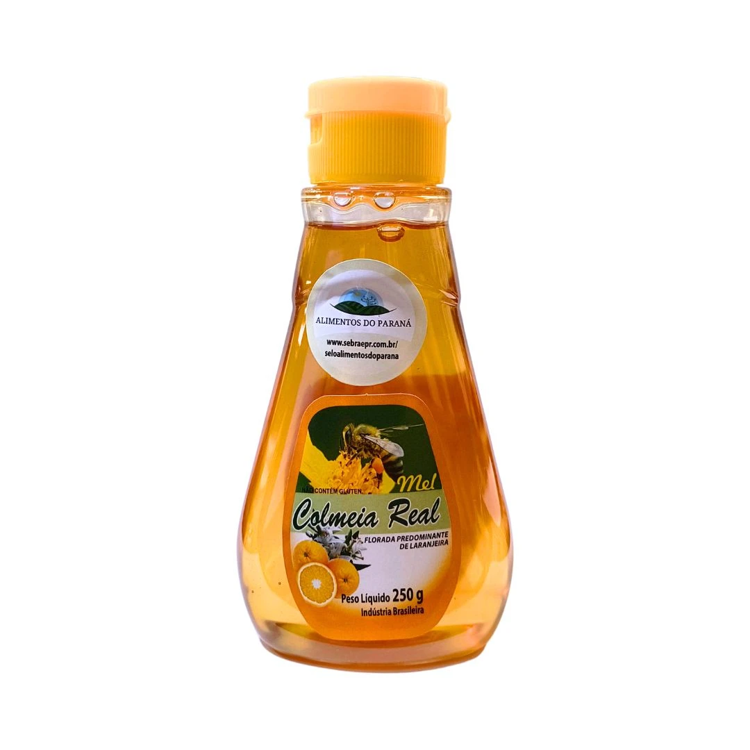 MEL COLMEIA REAL LARANJEIRA BISNAGA 250G