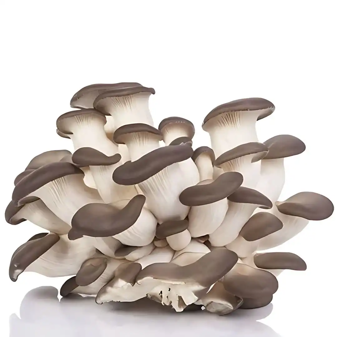 COGUMELO SHIMEJI PRETO ELOI CIT 200G